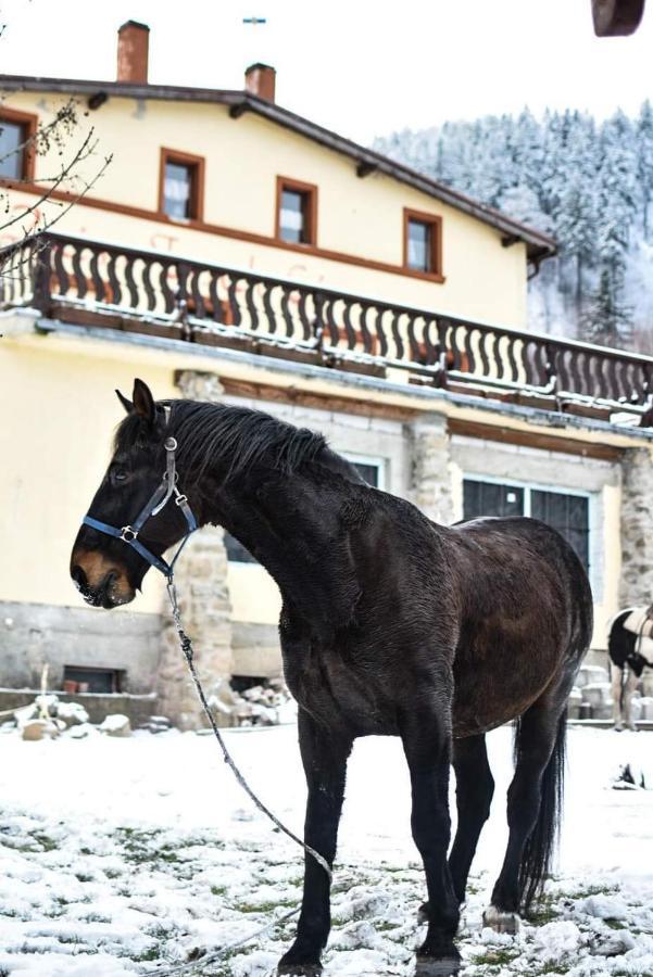 イェドリナ・ズドルイ Zacisze Trzech Gorヴィラ エクステリア 写真